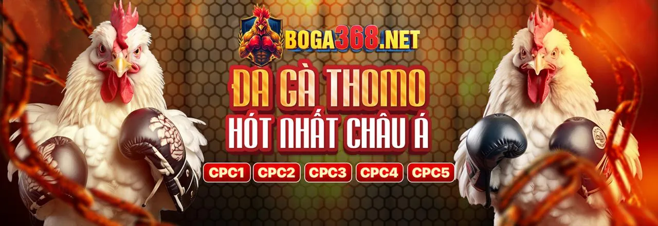 Sân vận động bóng đá sôi động với logo DV88